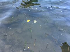 -贵阳市花溪国家城市湿地公园