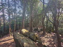 -北仑森林植物园