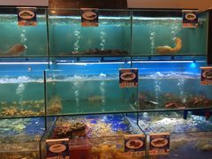 水产区-南海渔家•海鲜•正宗海南菜(海棠湾店)