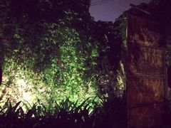 iphone_upload_pic-喜洲吧·江畔老船厂·庭院餐厅(喜临院店)