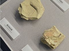 -湖南省地质博物馆