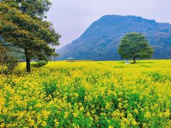 -广州市石门国家森林公园