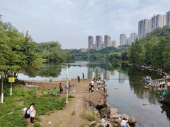 -重庆彩云湖湿地公园