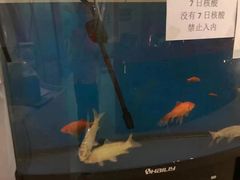 -足来足往养生会所