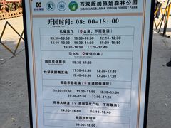 -西双版纳原始森林公园