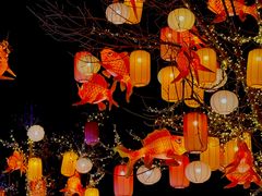 -龙湖星悦荟(颐和店)