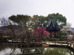 -香雪海