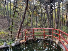 -红螺寺