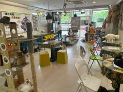 -平行世界·猫咖(首经贸店)