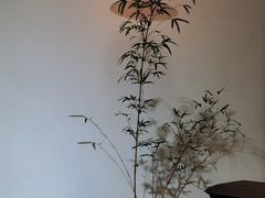 -植觉