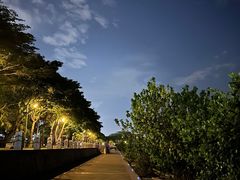 -深圳湾公园(南山区)