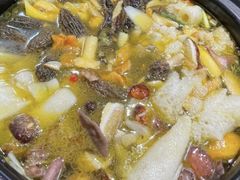 -菌之家·专业纯野生菌火锅·特色炒菌