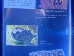 -吉林市博物馆