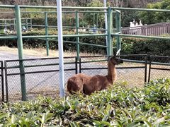 -无锡动物园·太湖欢乐园
