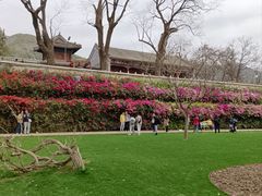 -红螺寺