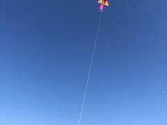 -春花秋色城市公园