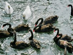 -长白岛森林公园