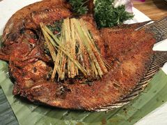 -紫滇源云南生态菜(丹凤街店)