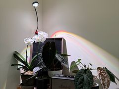 -本無咖啡·BeanWood Coffee