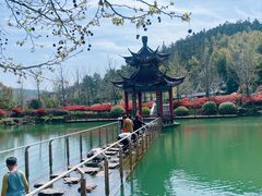 -冶父山国家森林公园