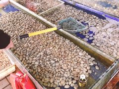 -江杨农产品批发市场