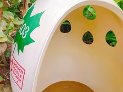 -100蛋泥浆浴