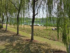 -滨湖塘西河公园
