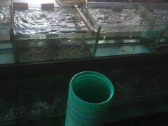 -仑头海鲜城(仑头环村南路店)