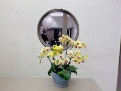 -Kraemer Paris苏豪路易士·嘉玛发廊