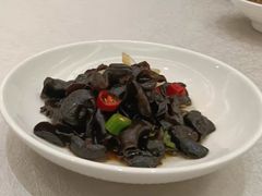 凉拌木耳-苏启渔港(云南北路店)