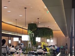 -阿露佳·舌尖上的安吉菜