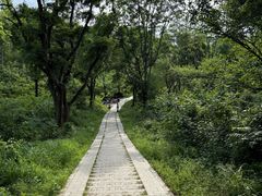-青龙山国家森林公园
