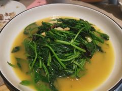 -尚一汤 广东炖汤(金桥国际店)