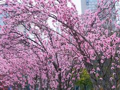 -四川科技馆