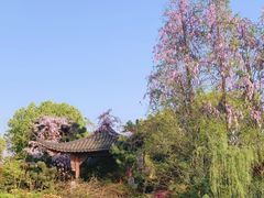 -武汉园博园(武汉自然博物馆)