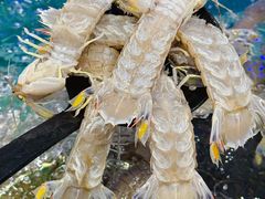-初色海鲜自助(万丰路店)