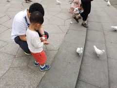 -无锡动物园·太湖欢乐园