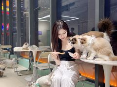 -怪兽屋·羊驼·猫咖·狗咖(俊华广场店)