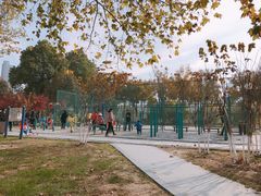 -后襄河公园