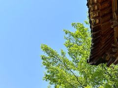 -观唐（国际）度假村温泉