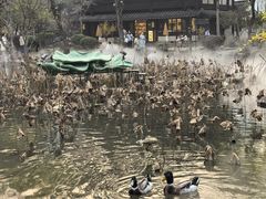 -绍兴书圣故里景区