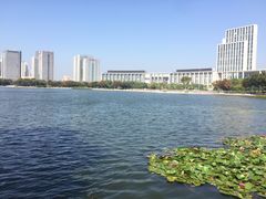 -尚贤河湿地