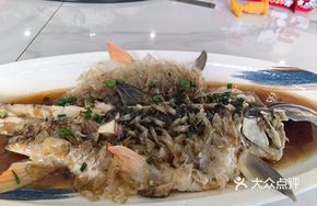 Wide Fish