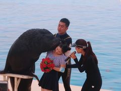 -秦皇岛乐岛海洋王国