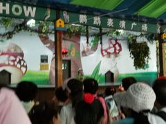 -呀诺达热带雨林