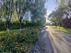 -永定河休闲森林公园