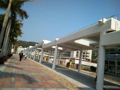 -厦门国家会计学院