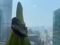 -好世界商业广场(北京国际中心店)