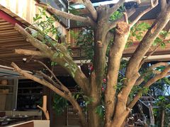 -渔太泰漓江小馆·广西融合菜(西街店)