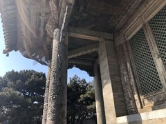 -北陵公园